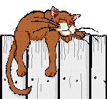 anicat24 anicat24