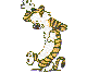 anicat37 anicat37